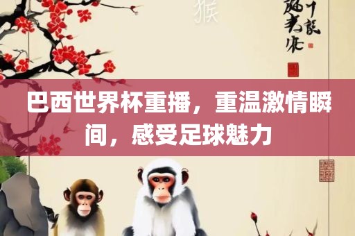 巴西世界杯重播，重温激情瞬间，感受足球眉山市正发家政服务有限公司魅力
