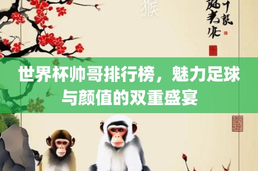 世界杯帅哥排行榜，魅力足球与颜值的双重盛宴眉山市正发家政服务有限公司