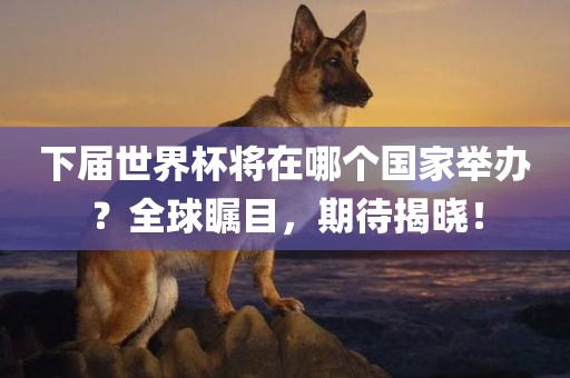 下届世界杯将在哪个国家举办？全球瞩目，期待揭晓！
