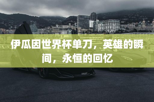伊瓜因世界杯单刀，英雄的瞬间，眉山市正发家政服务有限公司永恒的回忆