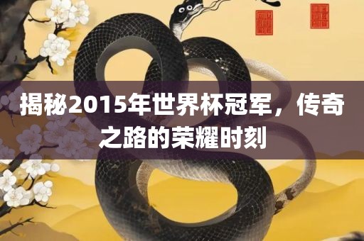 揭秘2015年世界杯冠军，传奇之路的荣耀时刻眉山市正发家政服务有限公司