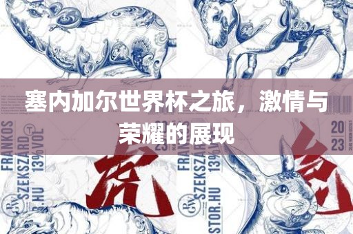 塞内加尔世界杯之旅，激情与荣耀的展现眉山市正发家政服务有限公司