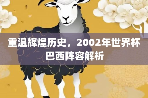 重温辉煌历史，2002年世界杯巴西阵容解析眉山市正发家政服务有限公司