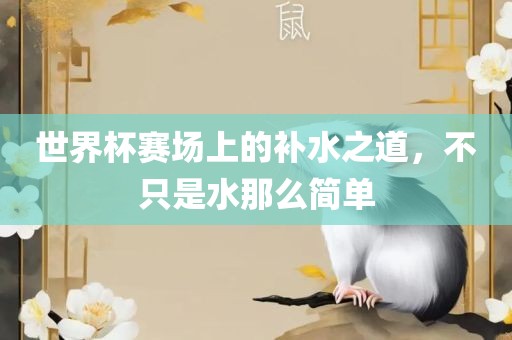 世界杯赛场上的补水之道，不只是水那么简单眉山市正发家政服务有限公司