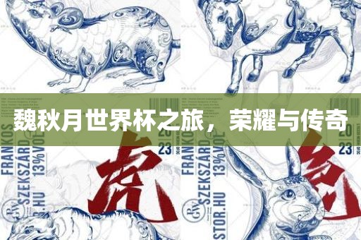 魏秋月世界杯之旅，荣耀与传奇