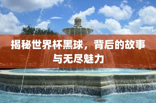 揭秘世界杯黑球，背后的故事与无尽魅力眉山市正发家政服务有限公司