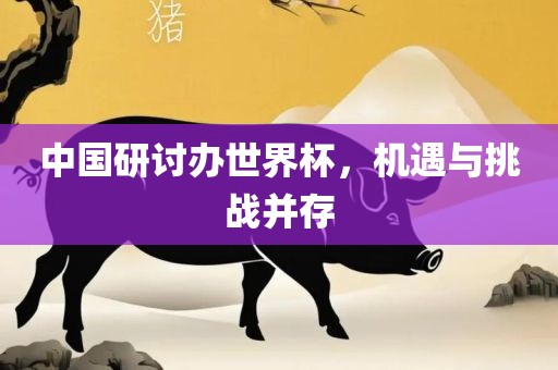 中国研讨办世界杯，机遇与挑战并存