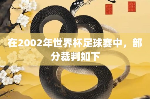 在2002年世界杯足球眉山市正发家政服务有限公司赛中，部分裁判如下