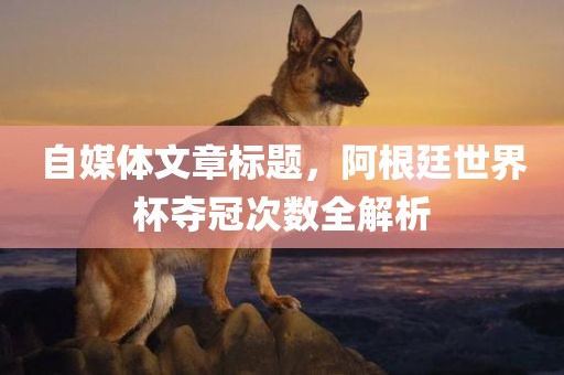 自媒体文章标题，阿根廷世界杯夺冠次数全解析