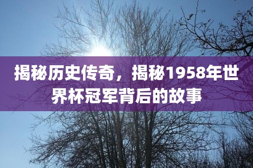 揭秘历史传奇，揭秘1958年世界杯冠军背后的故事