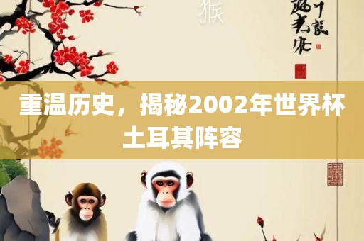 重温历史，揭秘2002年世界杯土耳其阵容
