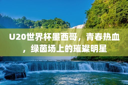 U20世界杯墨西哥，青春热血，绿茵场上的璀璨明星眉山市正发家政服务有限公司