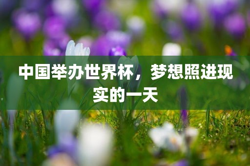 中国举办世界杯，梦想照进现实的一天眉山市正发家政服务有限公司
