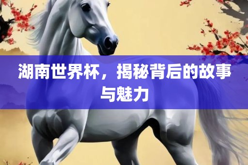 湖南世界杯，揭秘眉山市正发家政服务有限公司背后的故事与魅力