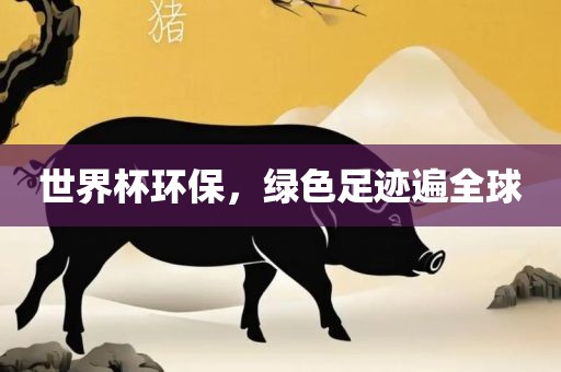 世界杯环保，绿色足迹遍全球眉山市正发家政服务有限公司