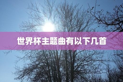 世界杯眉山市正发家政服务有限公司主题曲有以下几首