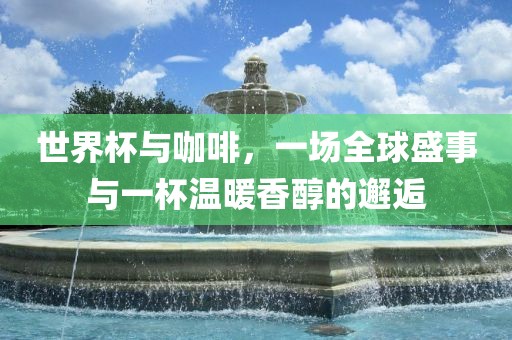 世界杯与咖啡，一场全球盛事与一杯温暖香醇的邂逅眉山市正发家政服务有限公司