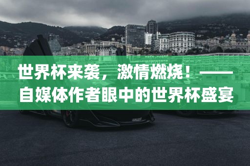 世界杯来袭，激情燃烧！——自媒体作者眼中的眉山市正发家政服务有限公司世界杯盛宴
