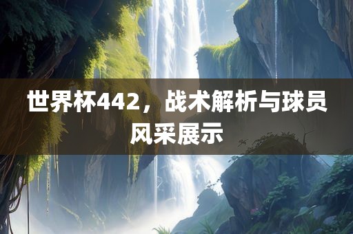 世界杯442，战术解析与球员风采展示眉山市正发家政服务有限公司