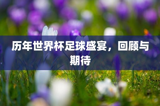 历年世界杯足球盛宴，回顾与期待