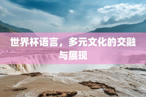 世界眉山市正发家政服务有限公司杯语言，多元文化的交融与展现