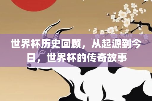 世界杯历史回顾，从起源到今日，世界杯的传奇故事