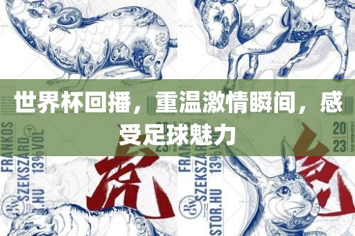 世界杯回播，重温激情瞬间，感受足球魅力