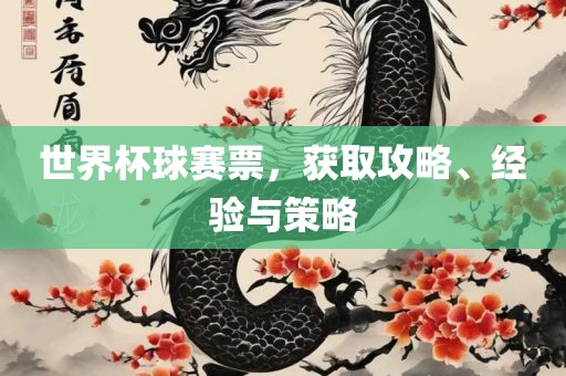 世界杯球赛票，获取攻略、经验与策略眉山市正发家政服务有限公司