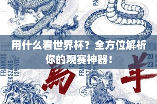 用什么看世界杯？全方位解析你的观赛神器！眉山市正发家政服务有限公司