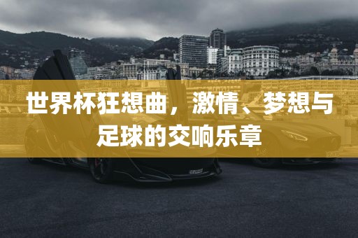 世界杯狂想曲，激情、梦想与足球的交响乐章眉山市正发家政服务有限公司