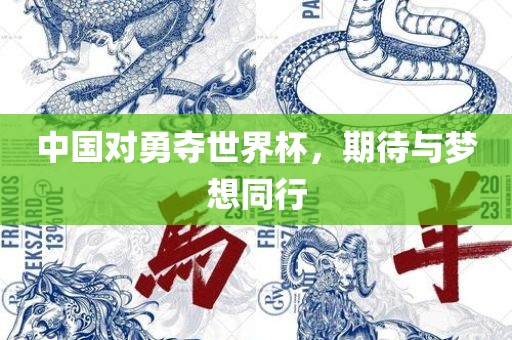 中国对勇夺世界杯，期待与梦想同行