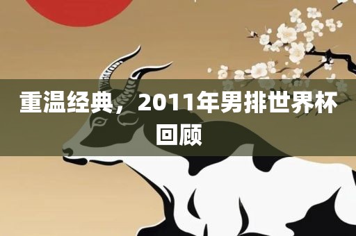 重温经典，2011年男排世界杯回顾