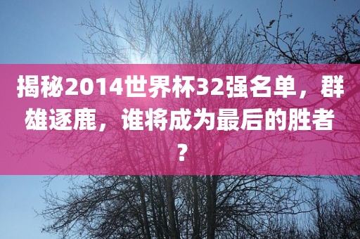 揭秘2014世界杯32强名单，群雄逐鹿，谁将成为最后的胜者？