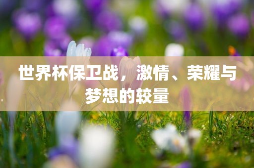世界杯保卫战，激情、荣耀与梦想的较量眉山市正发家政服务有限公司