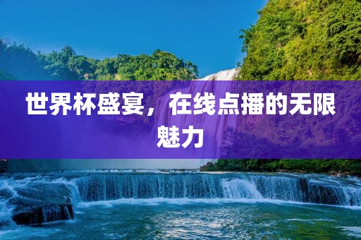 世界杯盛宴，在线点播的无限魅力眉山市正发家政服务有限公司