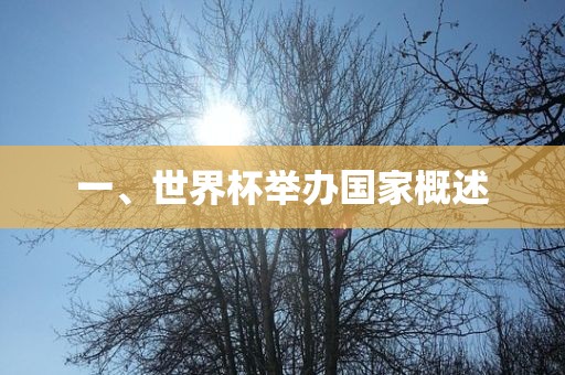 一、世界杯举办国家概述眉山市正发家政服务有限公司