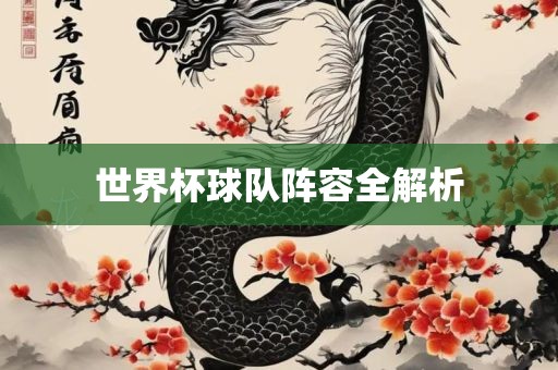 世界杯球队阵容全解析