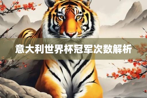 意大利世界杯冠军次数解析