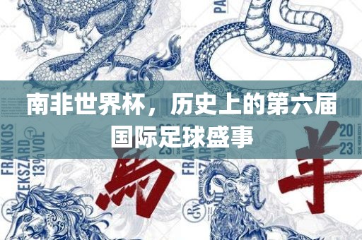 南非世界杯，历史上的第六届国际足球盛事