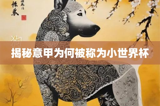 揭秘意甲为何被称为小世界杯