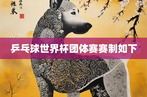 乒乓球世界杯团体赛赛制如下