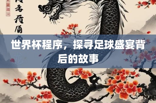 世界杯程序，探寻足球盛宴背后的故事
