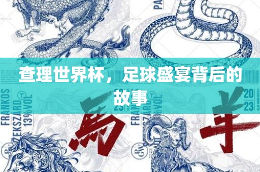 查理世界杯，足球盛宴背后眉山市正发家政服务有限公司的故事