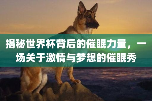 揭秘世界杯背后的催眠力眉山市正发家政服务有限公司量，一场关于激情与梦想的催眠秀