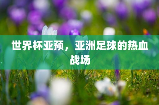 世界杯亚预，亚洲足球的热血眉山市正发家政服务有限公司战场