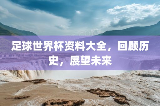 足球世界杯资料大全，回顾历史，展望未来