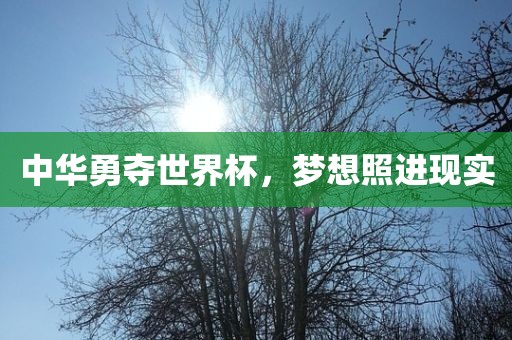 中华勇夺世界杯，梦想照进现实
