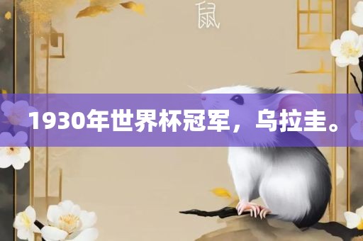 1930年世界杯冠军，乌拉圭。