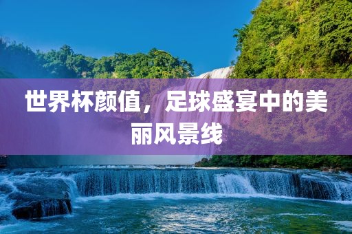 世界杯颜值，足球盛宴中的美丽风景线眉山市正发家政服务有限公司
