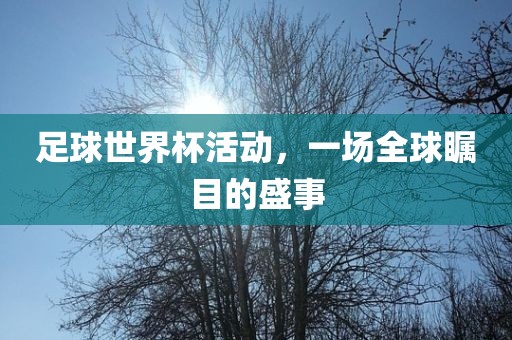 足球世界杯活动，一场全球瞩目的盛事